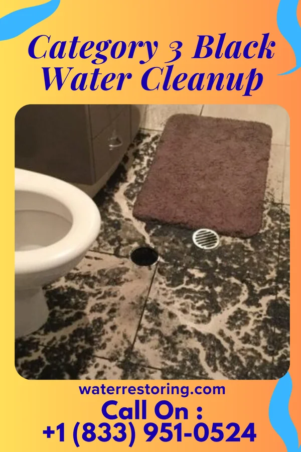 Category 3 Black Water Cleanup in Tolchester, MD