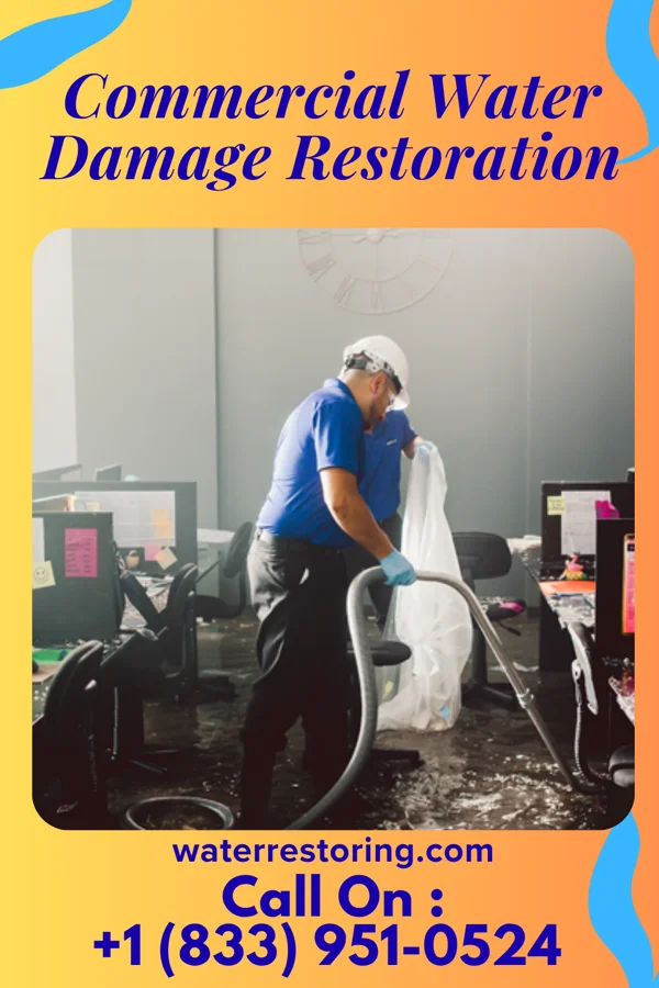 Commercial Water Damage Restoration in Tolchester, MD