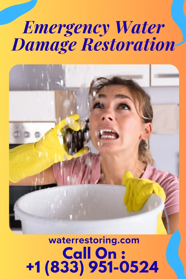 Emergency Water Damage Restoration in Tolchester, MD