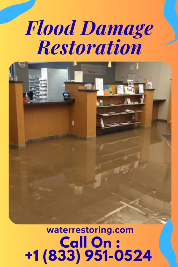 Flood Damage Restoration in Tolchester, MD