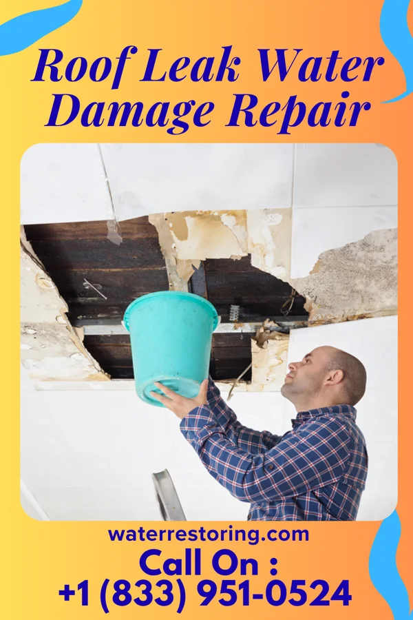 Roof Leak Water Damage Repair in Tolchester, MD